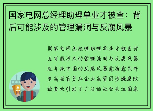 国家电网总经理助理单业才被查：背后可能涉及的管理漏洞与反腐风暴
