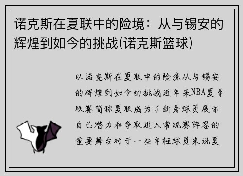诺克斯在夏联中的险境：从与锡安的辉煌到如今的挑战(诺克斯篮球)