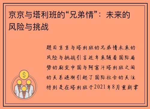 京京与塔利班的“兄弟情”：未来的风险与挑战