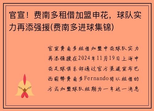 官宣！费南多租借加盟申花，球队实力再添强援(费南多进球集锦)
