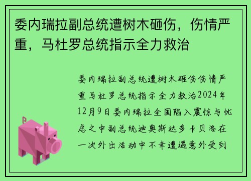 委内瑞拉副总统遭树木砸伤，伤情严重，马杜罗总统指示全力救治